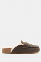 Kaki